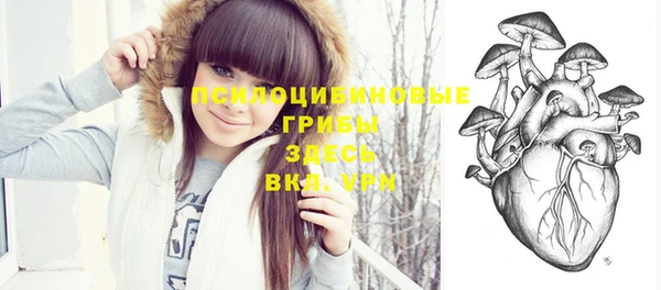 эйфоретик Абинск