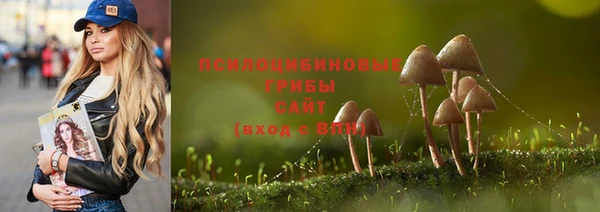 эйфоретик Абинск