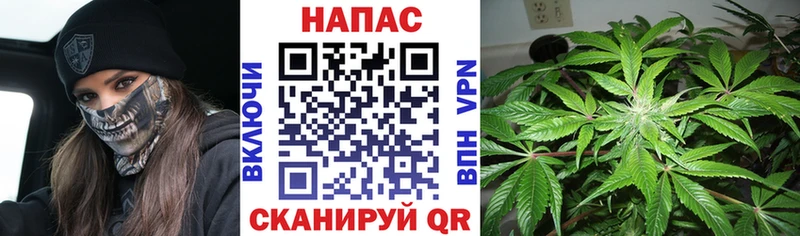 blacksprut tor купить наркоту Партизанск Шишки марихуана сатива